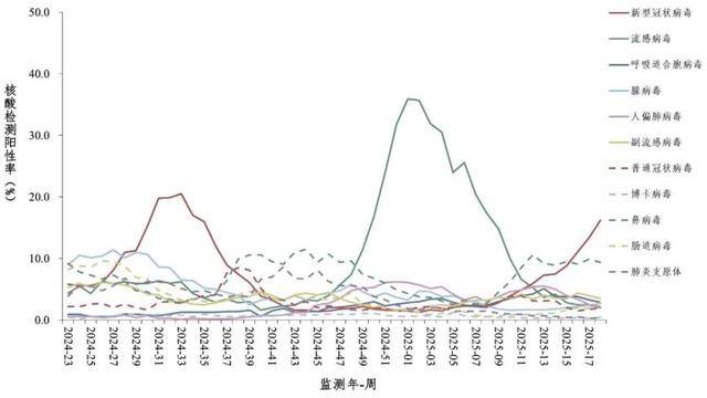高峰_病毒_呼吸道AG真人新冠又来_(图2)